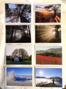 Trauerkarten B6 (12x16,9cm) ohne Text verschiedene Motive (BL) mit schönem Couvert in Cellophanhülle